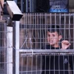Palestina tra resistenze e trasformazioni, il Festival delle Terre arriva all'Unical